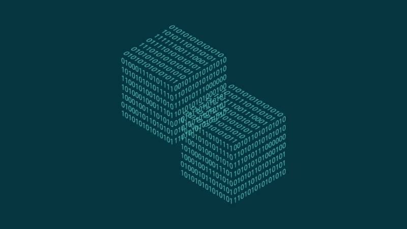 白水县信创改造：网络应用开发流程标准化的核心路径与实践
